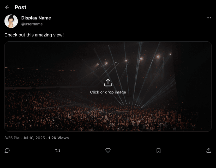 X Post Page with Media